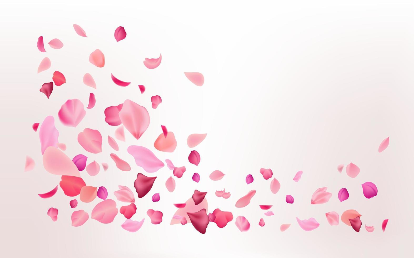 Flying fragile pink and white sakura petals. Symbol of Japanese culture. vector