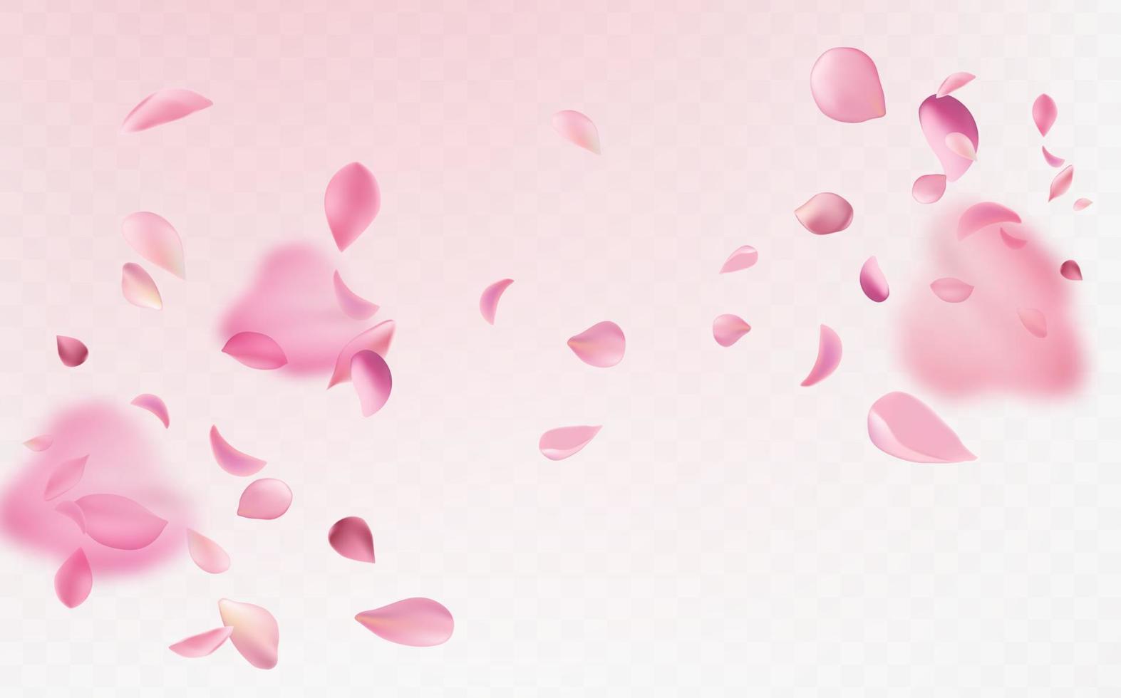 Flying fragile pink and white sakura petals. Symbol of Japanese culture. vector