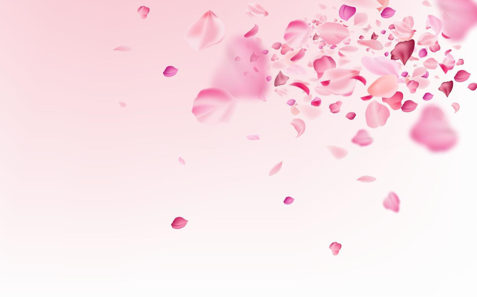 Flying fragile pink and white sakura petals. Symbol of Japanese culture. vector