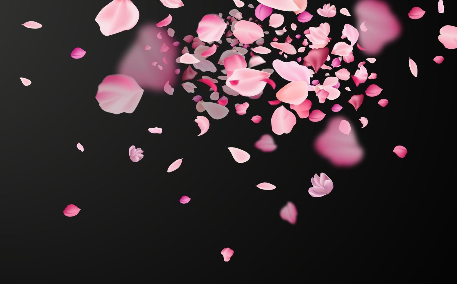 Flying fragile pink and white sakura petals. Symbol of Japanese culture. vector