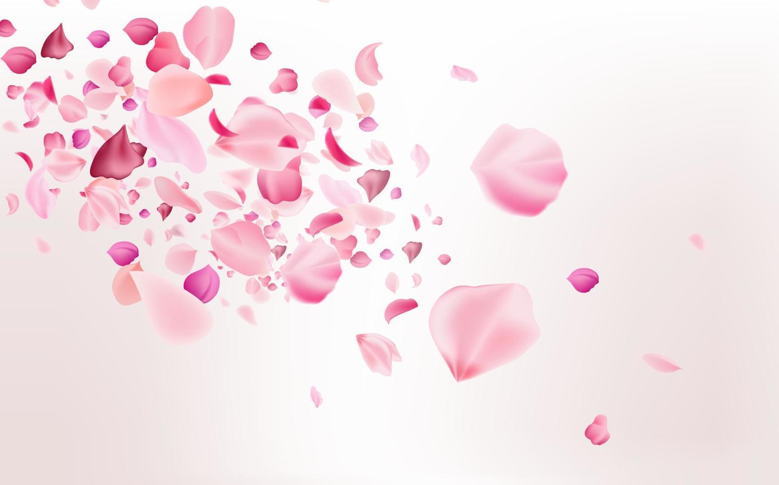 Flying fragile pink and white sakura petals. Symbol of Japanese culture. vector