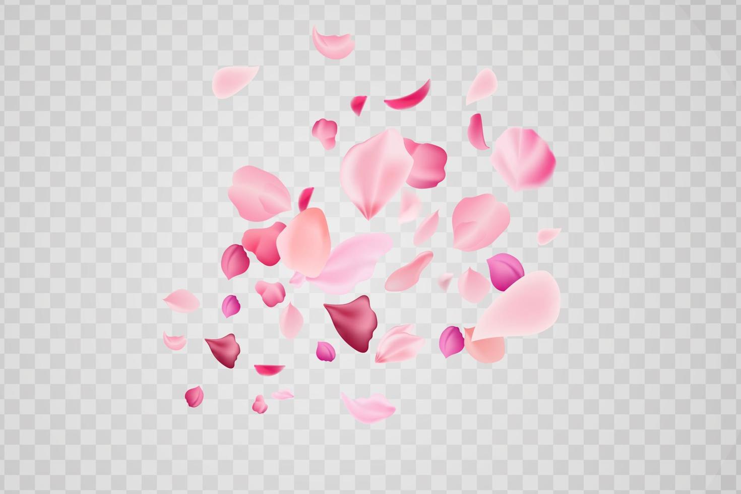 Flying fragile pink and white sakura petals. Symbol of Japanese culture. vector