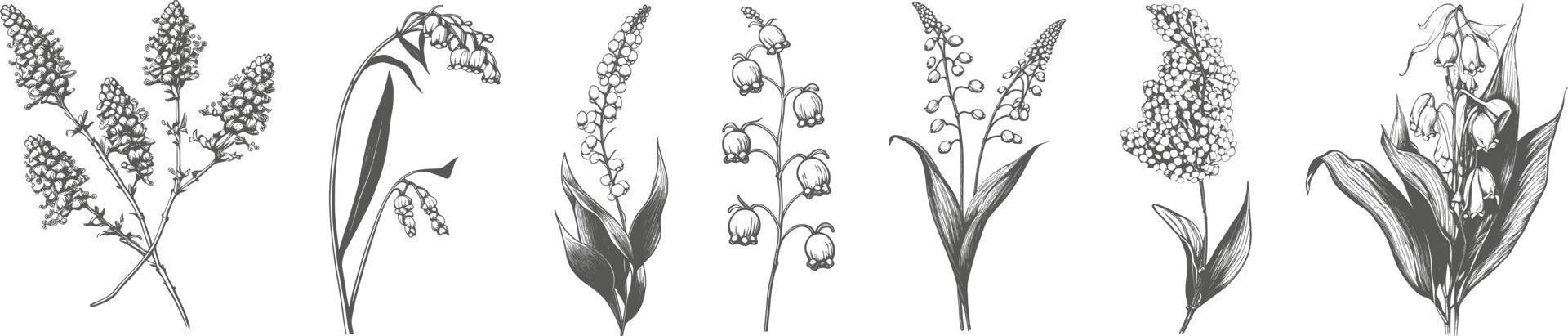 A set of elegant simple wildflowers in neutral black and white colors. Simple and graphic shape, hand drawn line wedding herb and invitation save the date card. vector