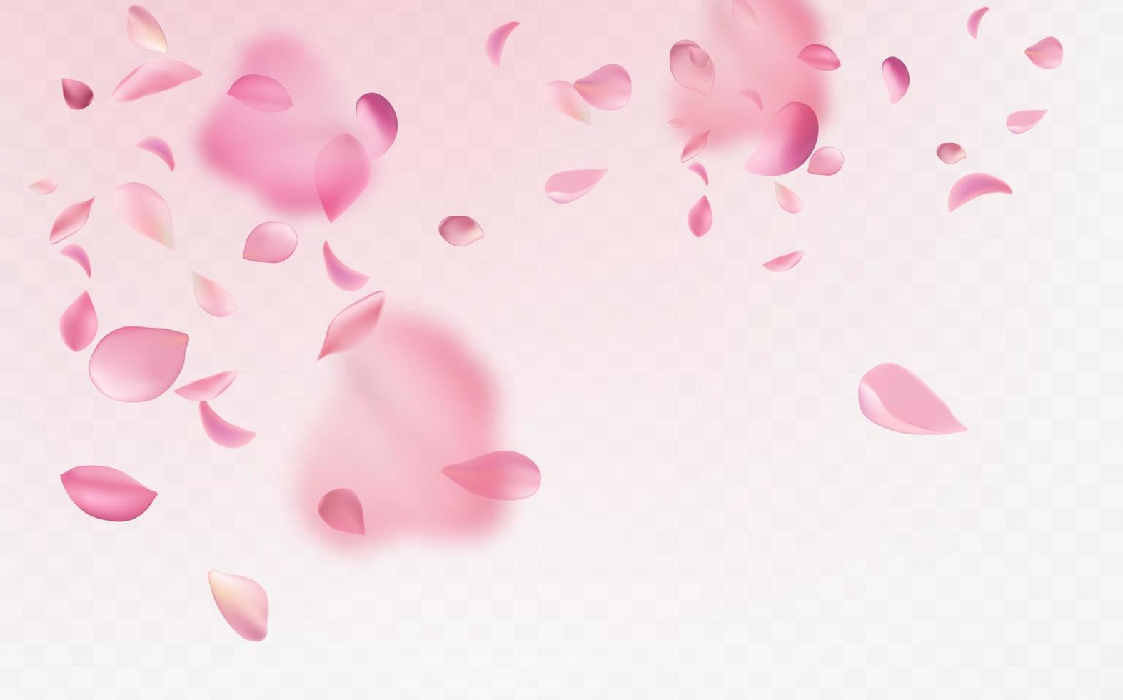 Flying fragile pink and white sakura petals. Symbol of Japanese culture. vector