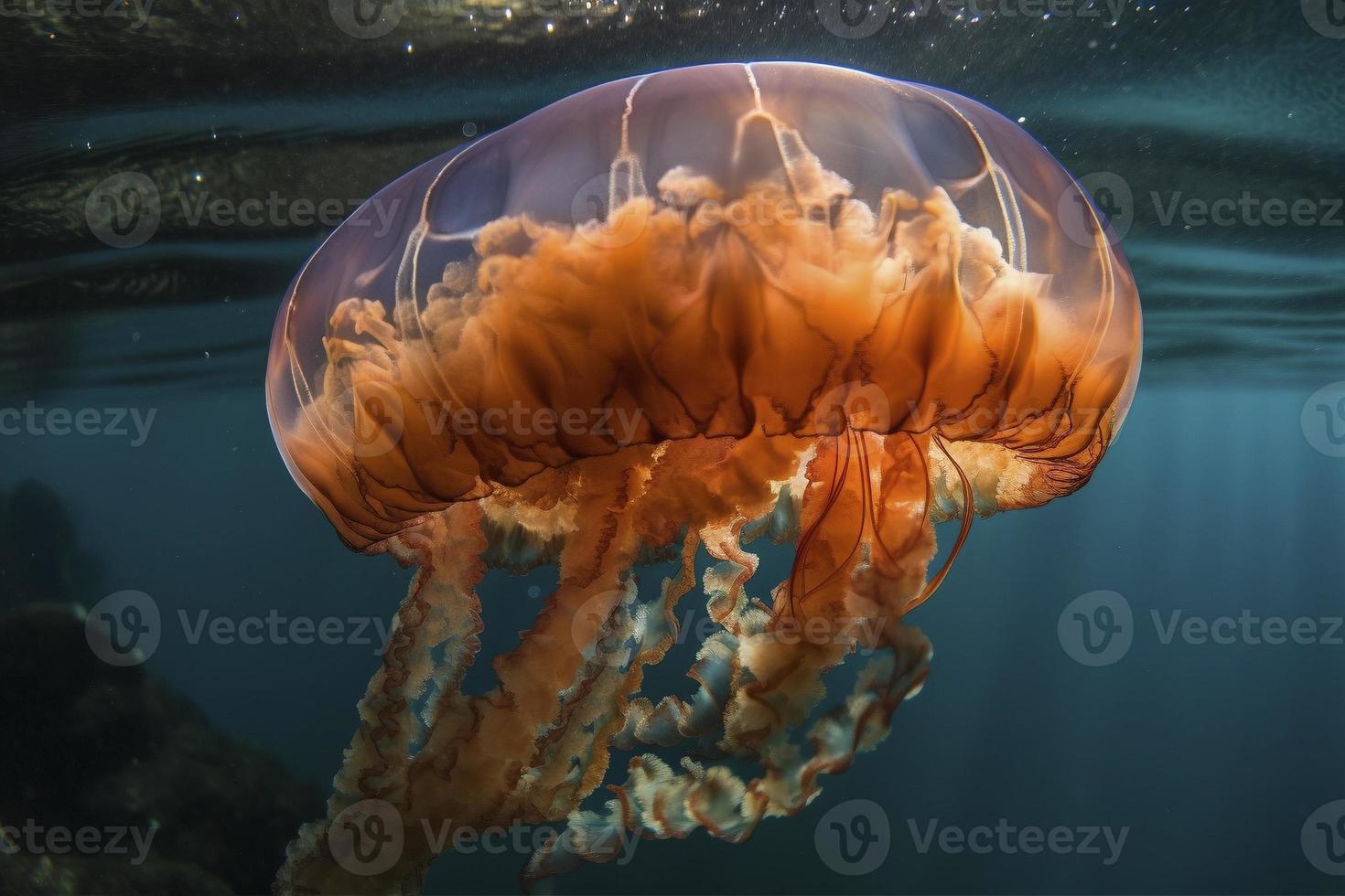 Jellyfish swimming in the ocean, created with generative AI photo