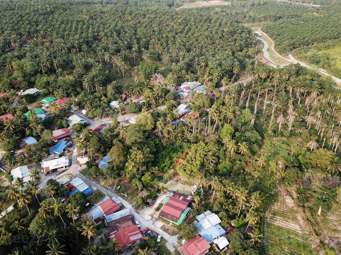 Rural village surrounded by oil palm photo