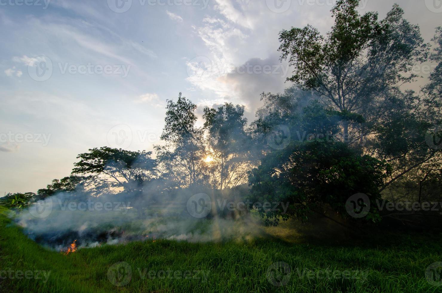 Open burn at green bush. photo