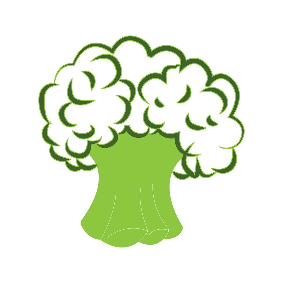 broccoli icon vector