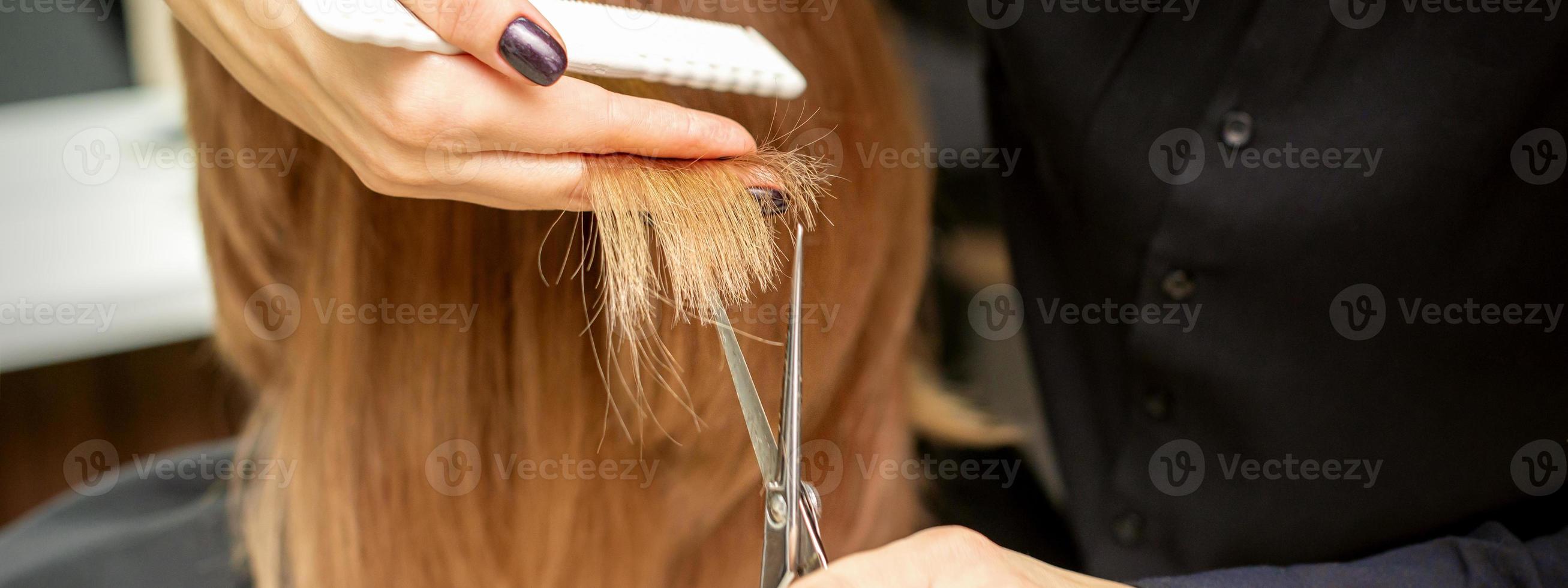 Hairdresser cuts tips female hair photo