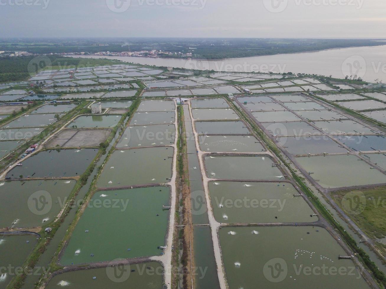 aéreo ver pescado granja foto