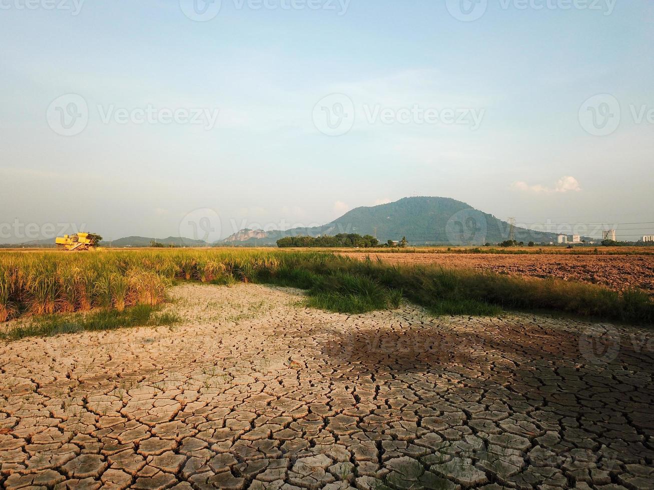 Dry land at paddy field photo