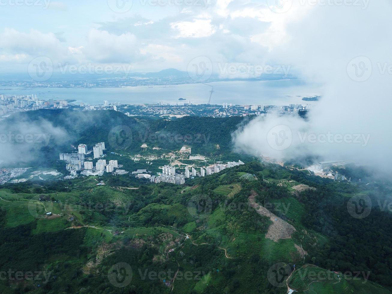 Aerial view green nature Penang plantation photo