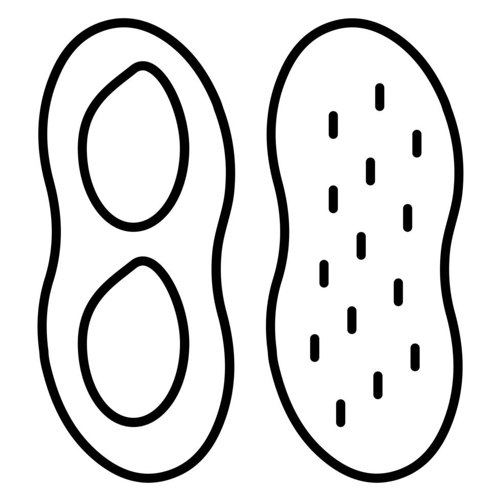 Peanut vector icon