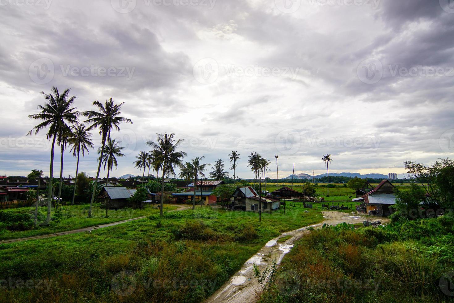 Aerial view small path towards Malays village kampung house at Penang