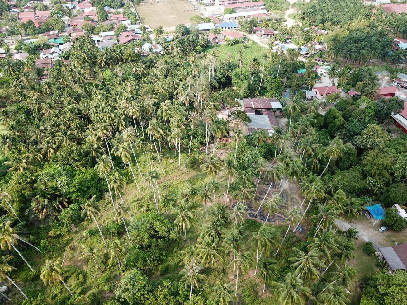 Aerial view Malays village beside coconut farm photo