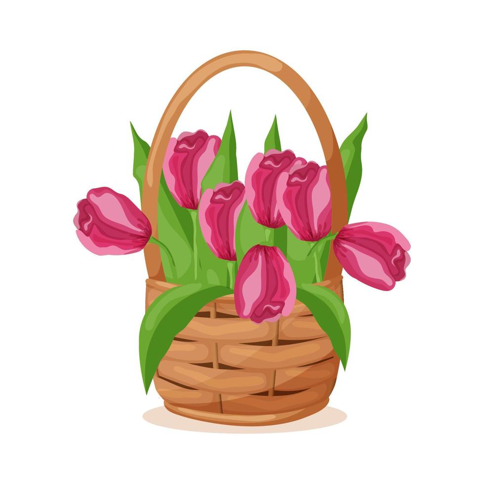 Wicker basket with pink tulips. Spring flowers. Print for posters, postcards. vector