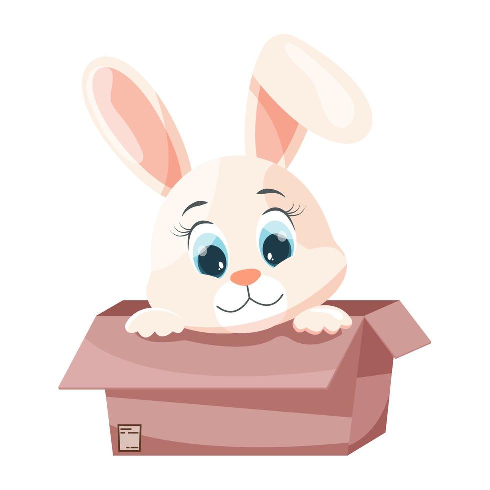Cartoon rabbit in a box. vector
