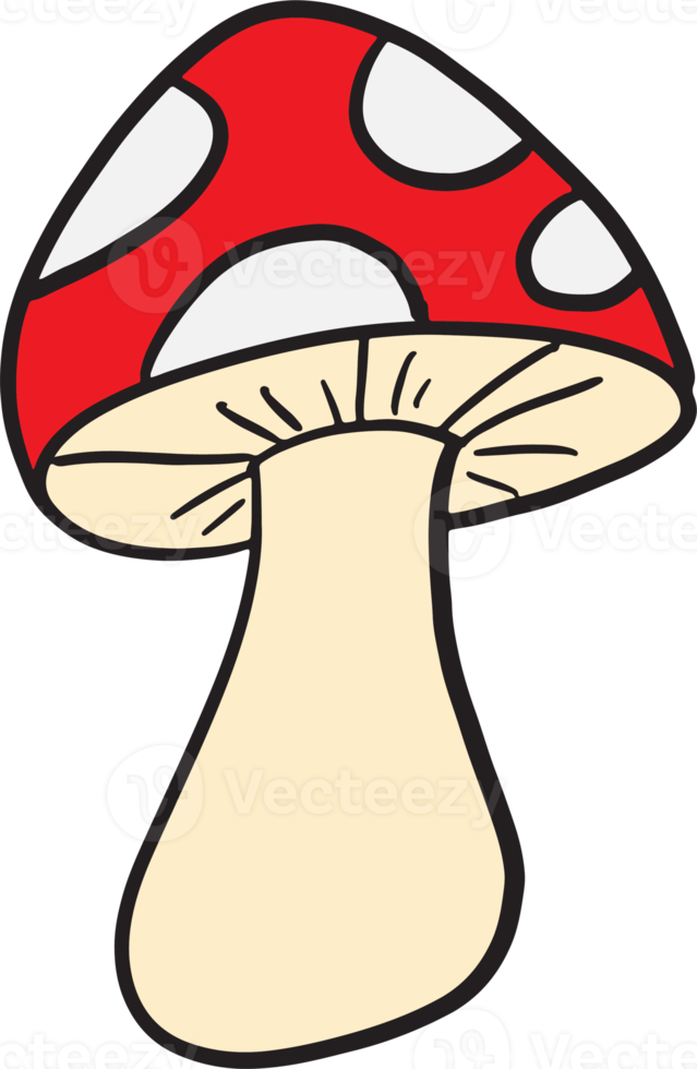 champignon dessin image pour nourriture ou cuisine concept png