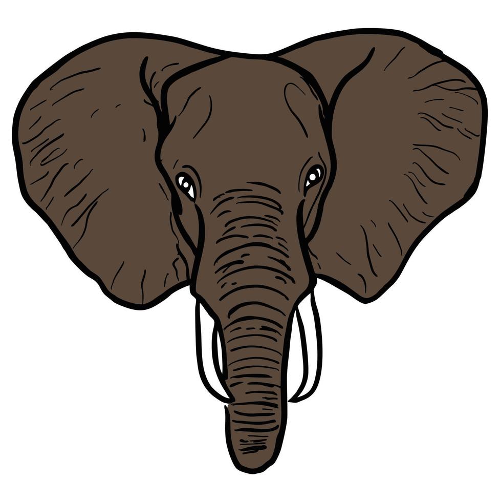 Elephant vector stock illustrations
