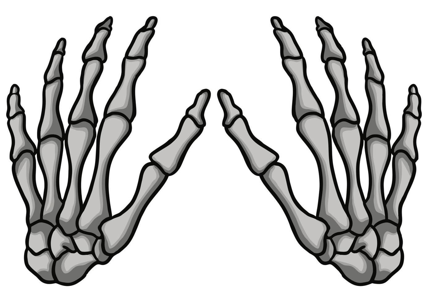 hand skeleton vector image illustrations