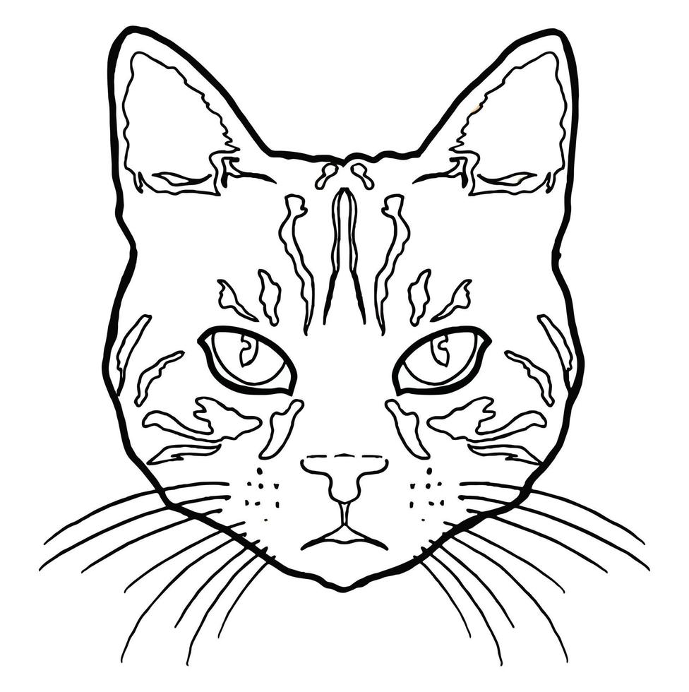 gato cara vector imagen ilustraciones