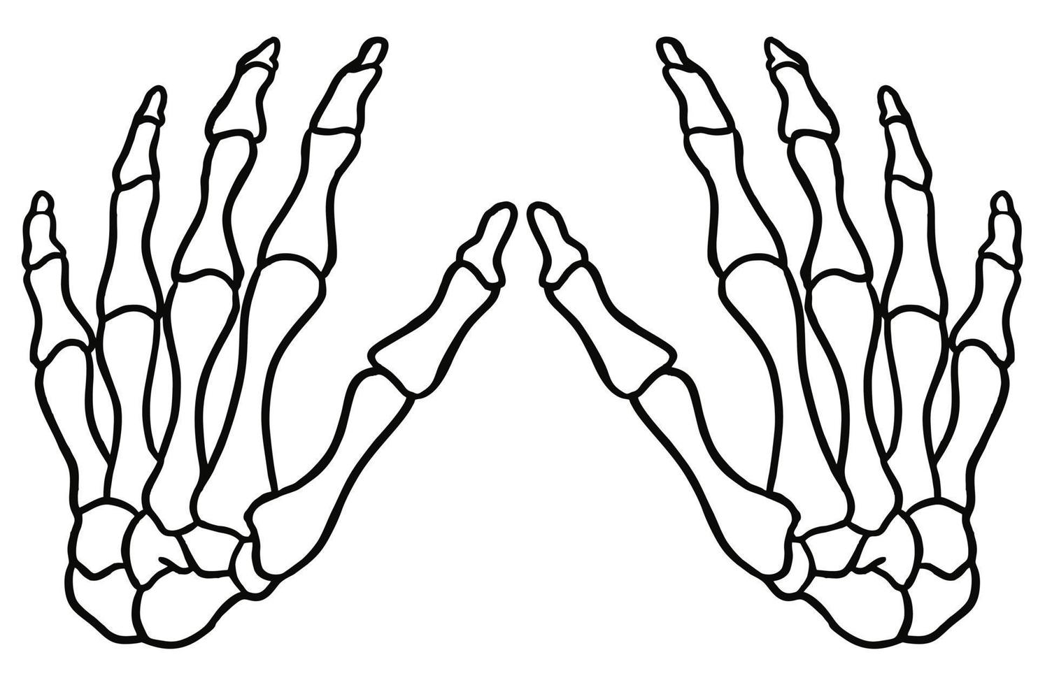 Hand skeleton bone black and white vector image