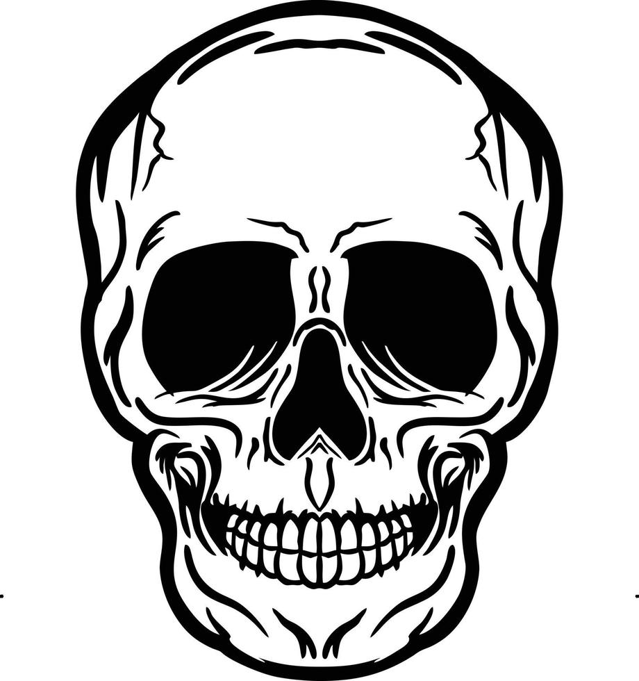 Skull head crossbones vector image illustrations