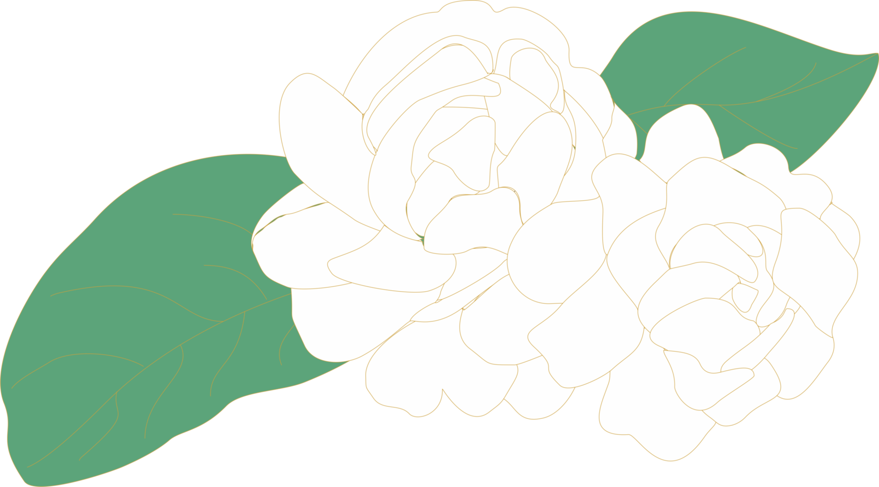 Jasmine flower mother's day icon PNG