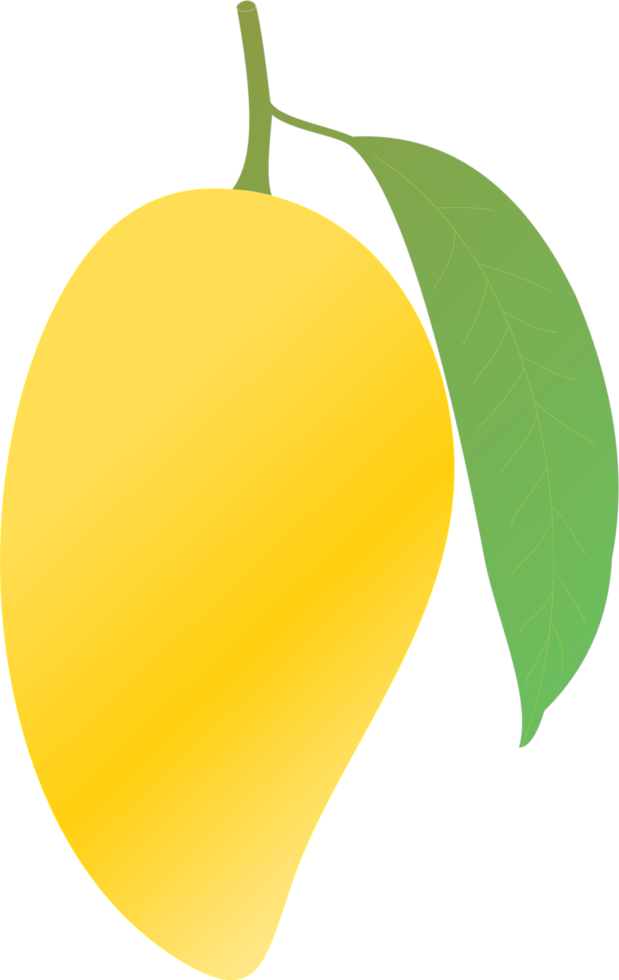 mango frukt 3d png