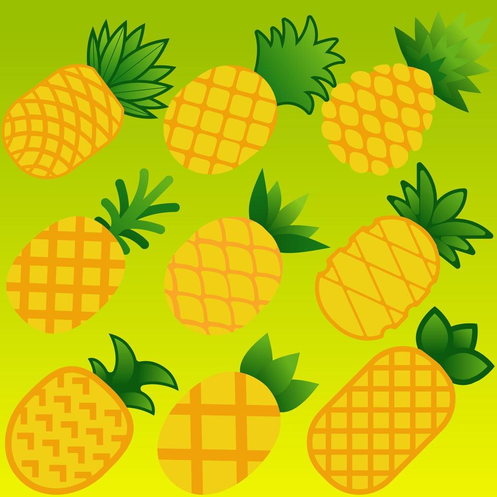 Pineapples icon set. Vector illustration of pineapple for fruit and food design. Graphic resources of fruits for vegetarian, healthy, diet, nutrition and tropical. Ananas comosus  fruit illustration