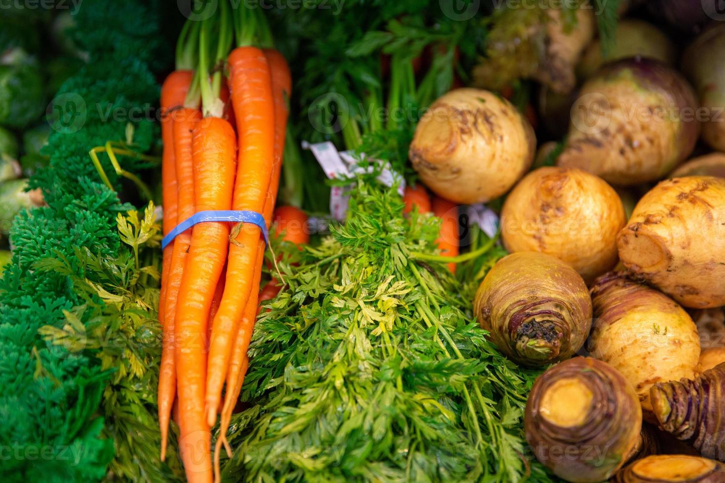 Group of Carrots and rutabaga and other vegetables photo