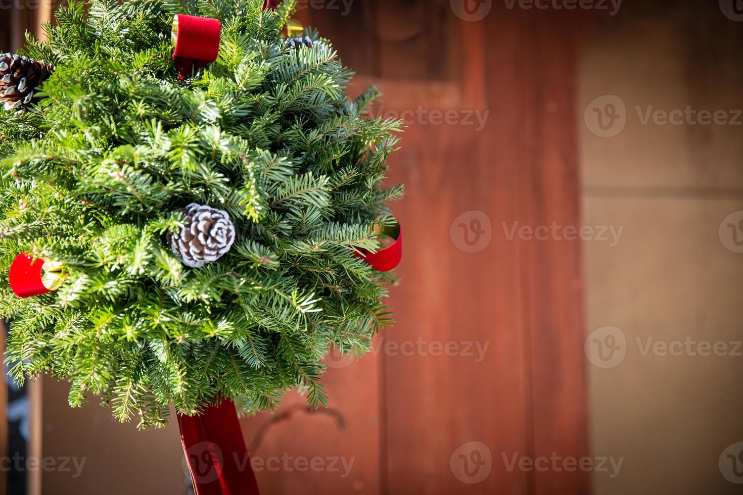 Christmas Kissing Ball 21659316 Stock Photo at Vecteezy