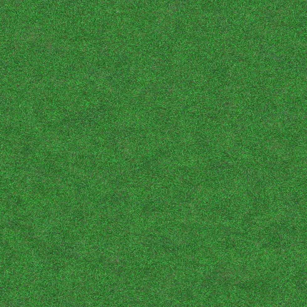 Green grass texture can be use as background photo