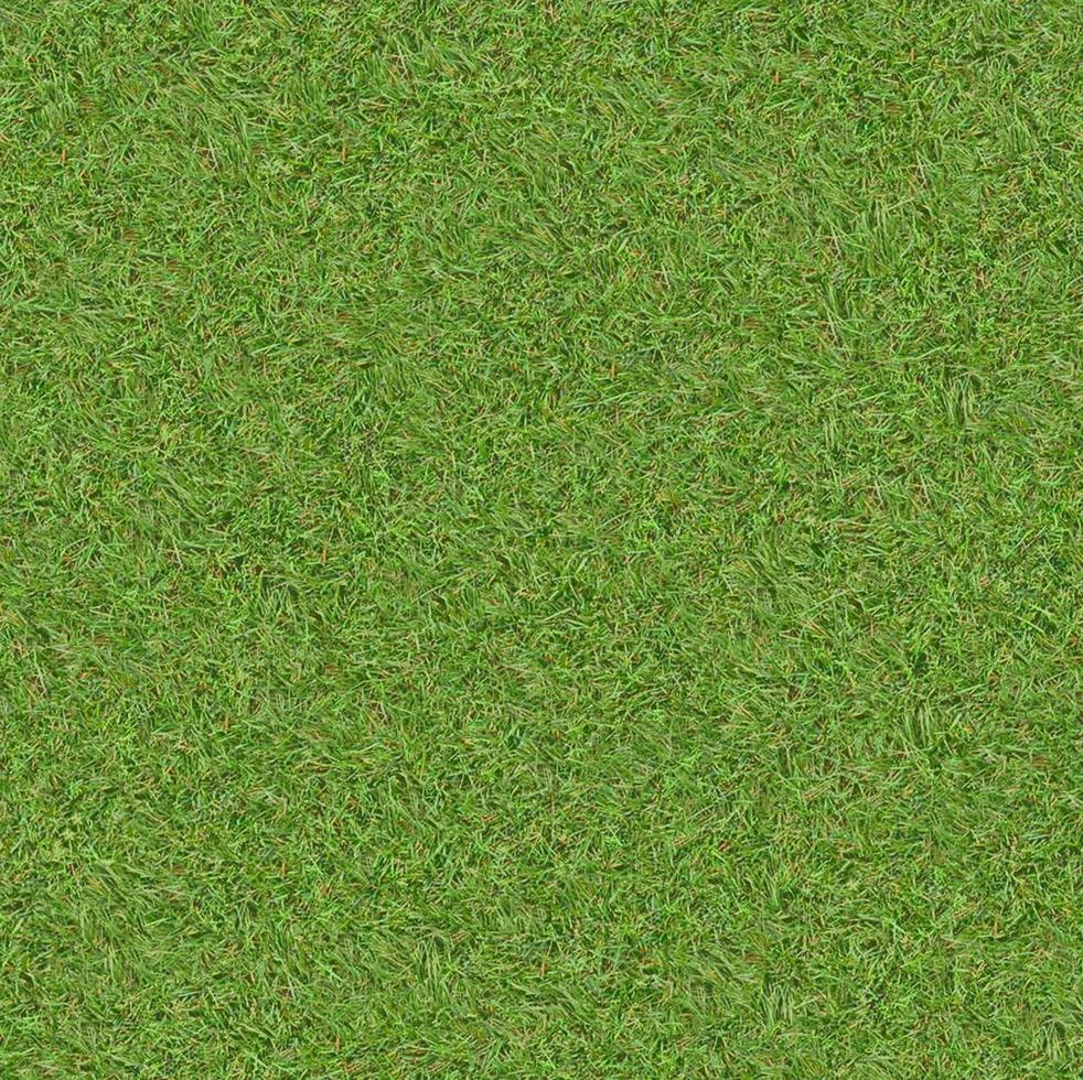 Green grass texture can be use as background photo