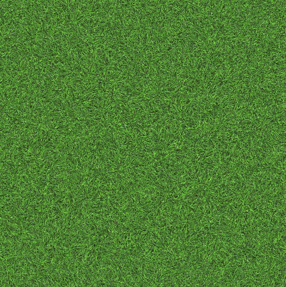 Green grass texture can be use as background photo