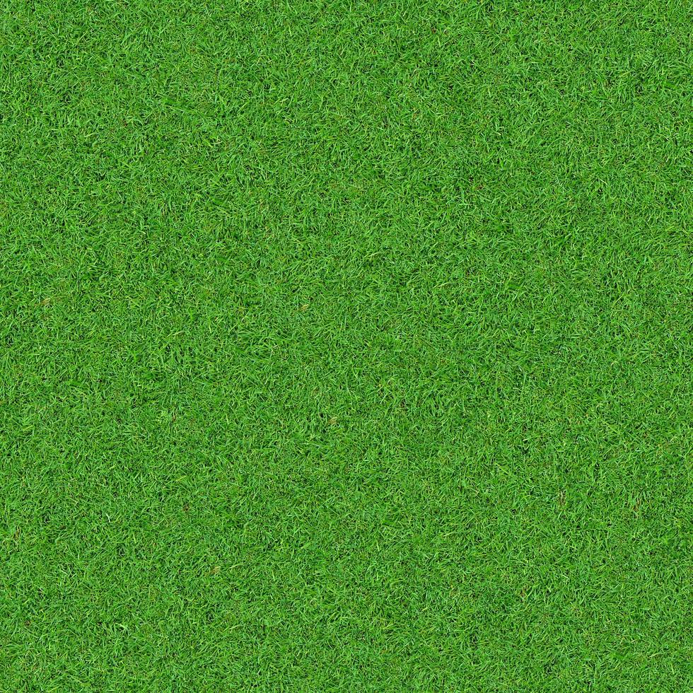 Green grass texture can be use as background photo