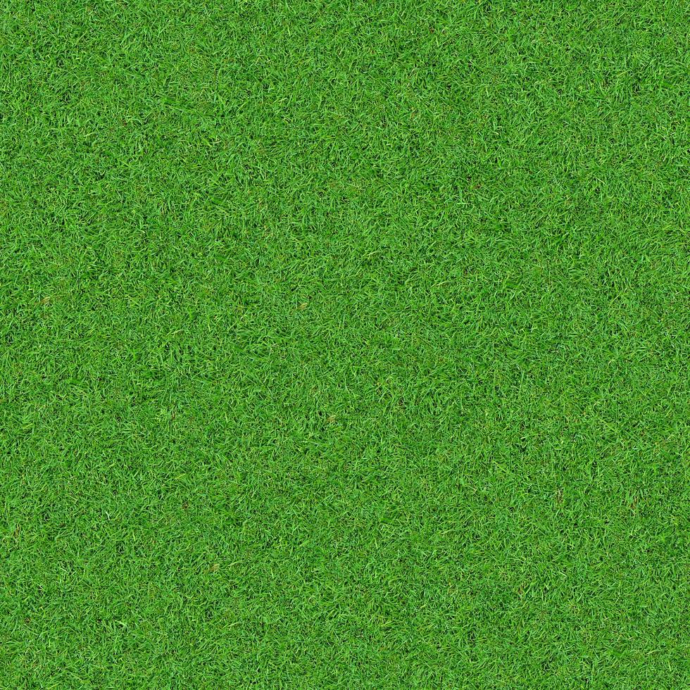 Green grass texture can be use as background photo