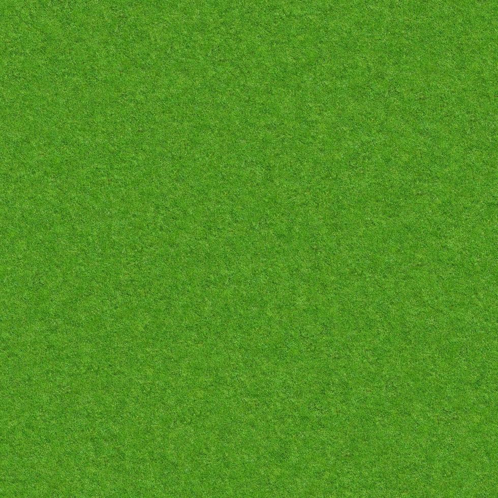 Green grass texture can be use as background photo