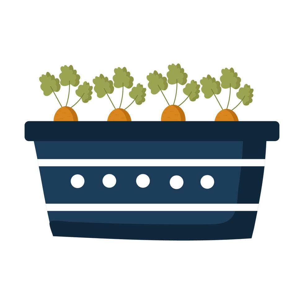 carrots in a pot vector