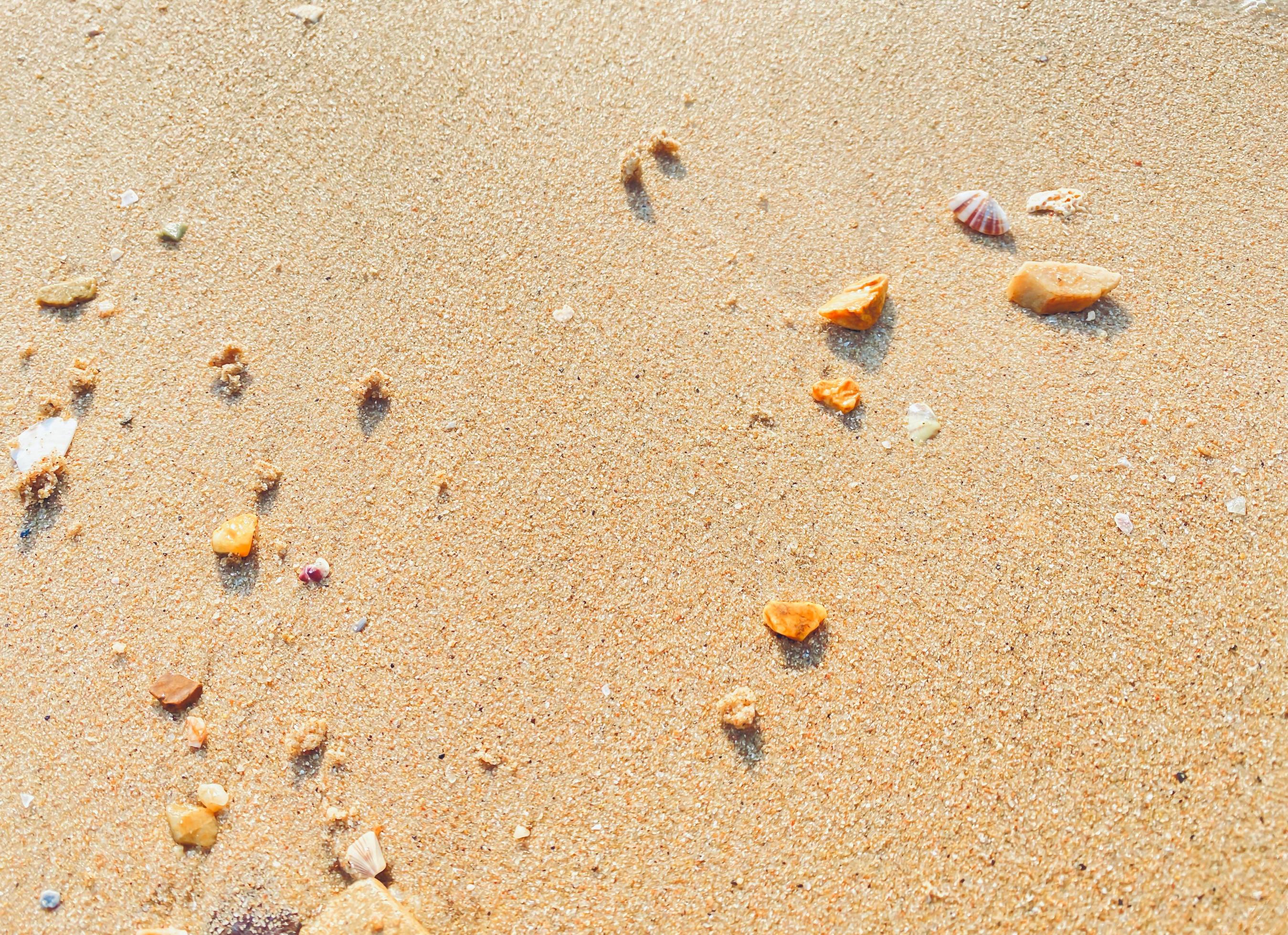 The sandy beach by the sea is a sight to behold. with soft golden sand