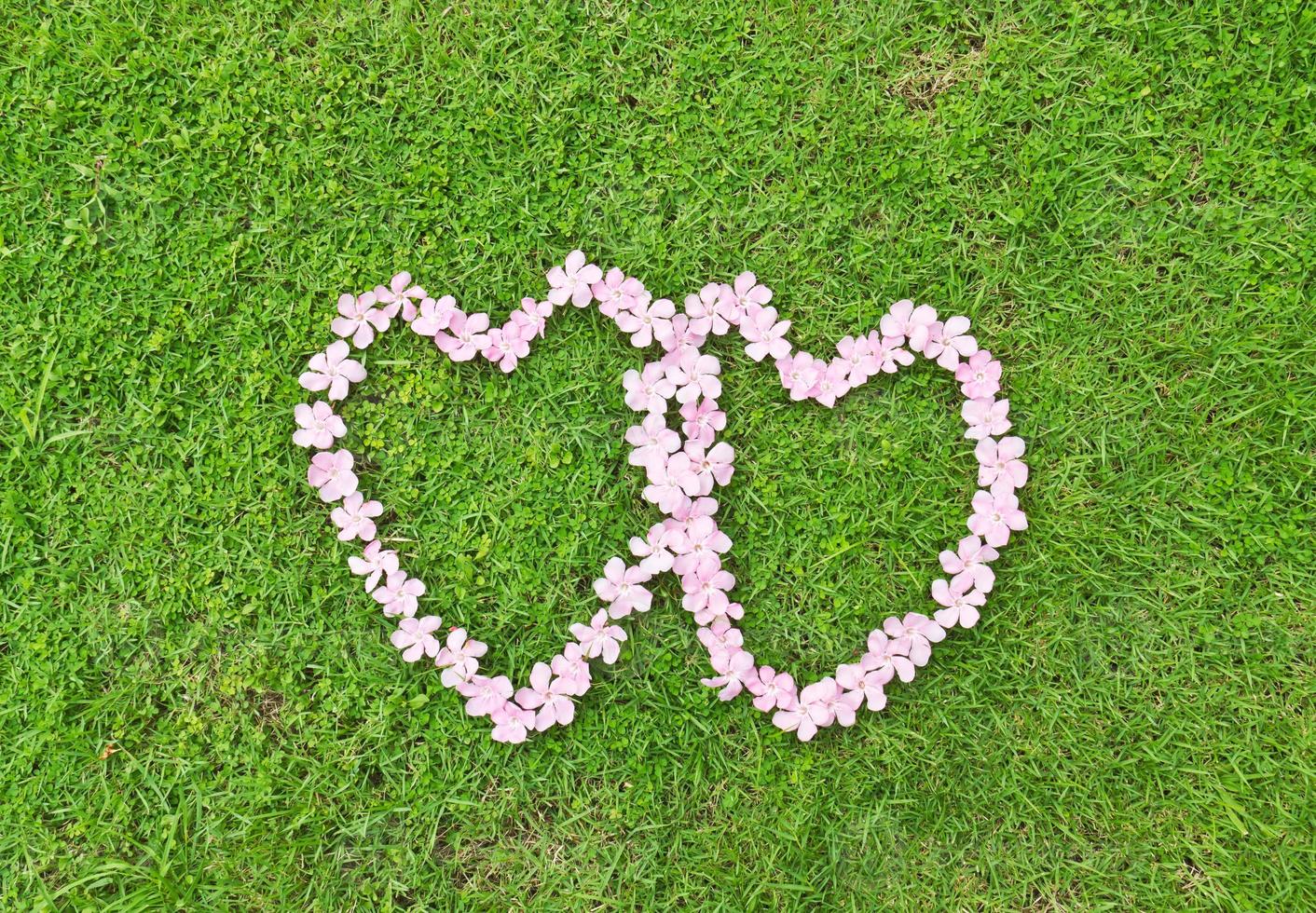 Pink flower love heart photo