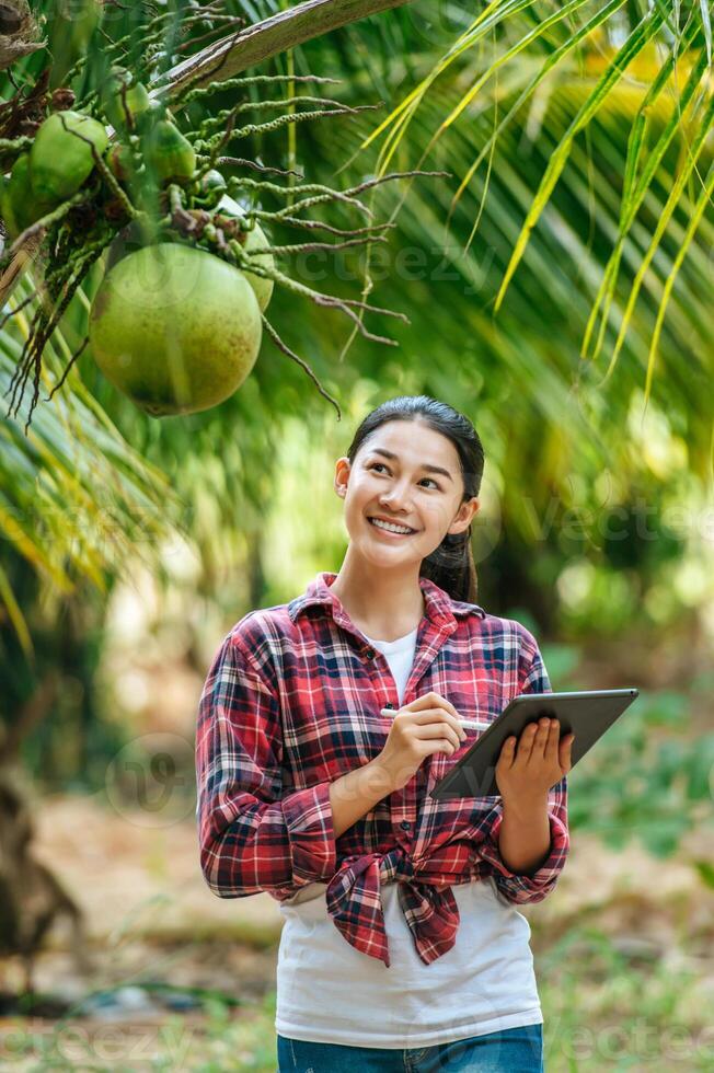 Portrait of Happy Asian young  farmer woman check quality of coconut in farm and using tablet computer to take orders online for customers. Agricultural and technology concepts. photo