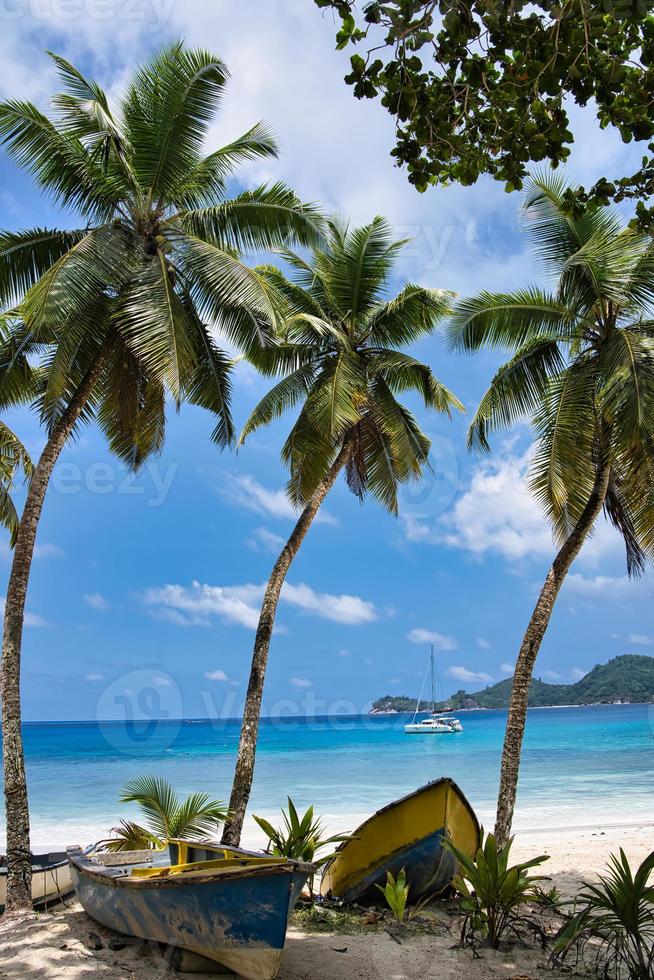 Coconut plam trees and boats near the beach of takamaka, Mahe Seychelles photo