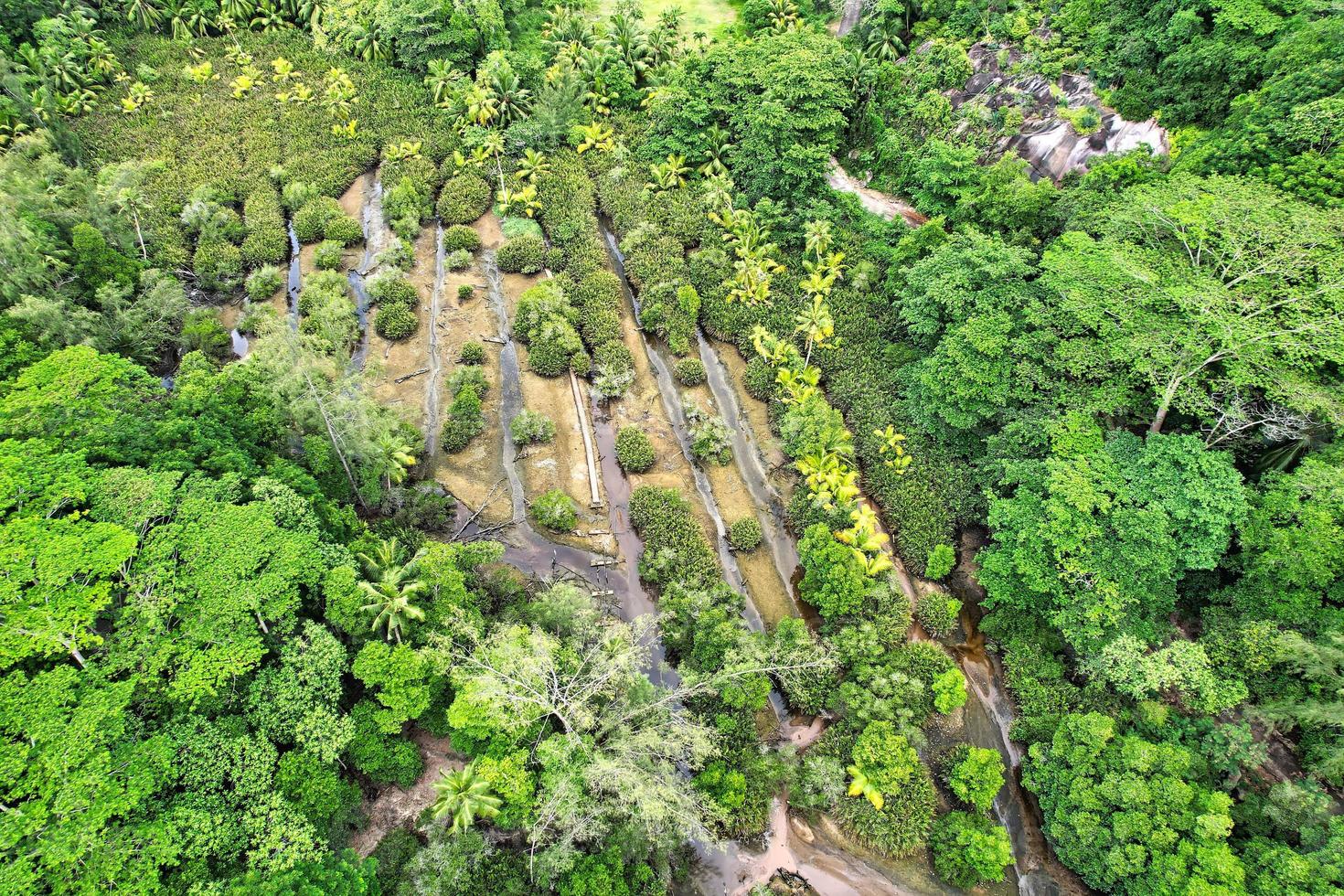 drone shot of beautiful streams from rivers and greenery photo