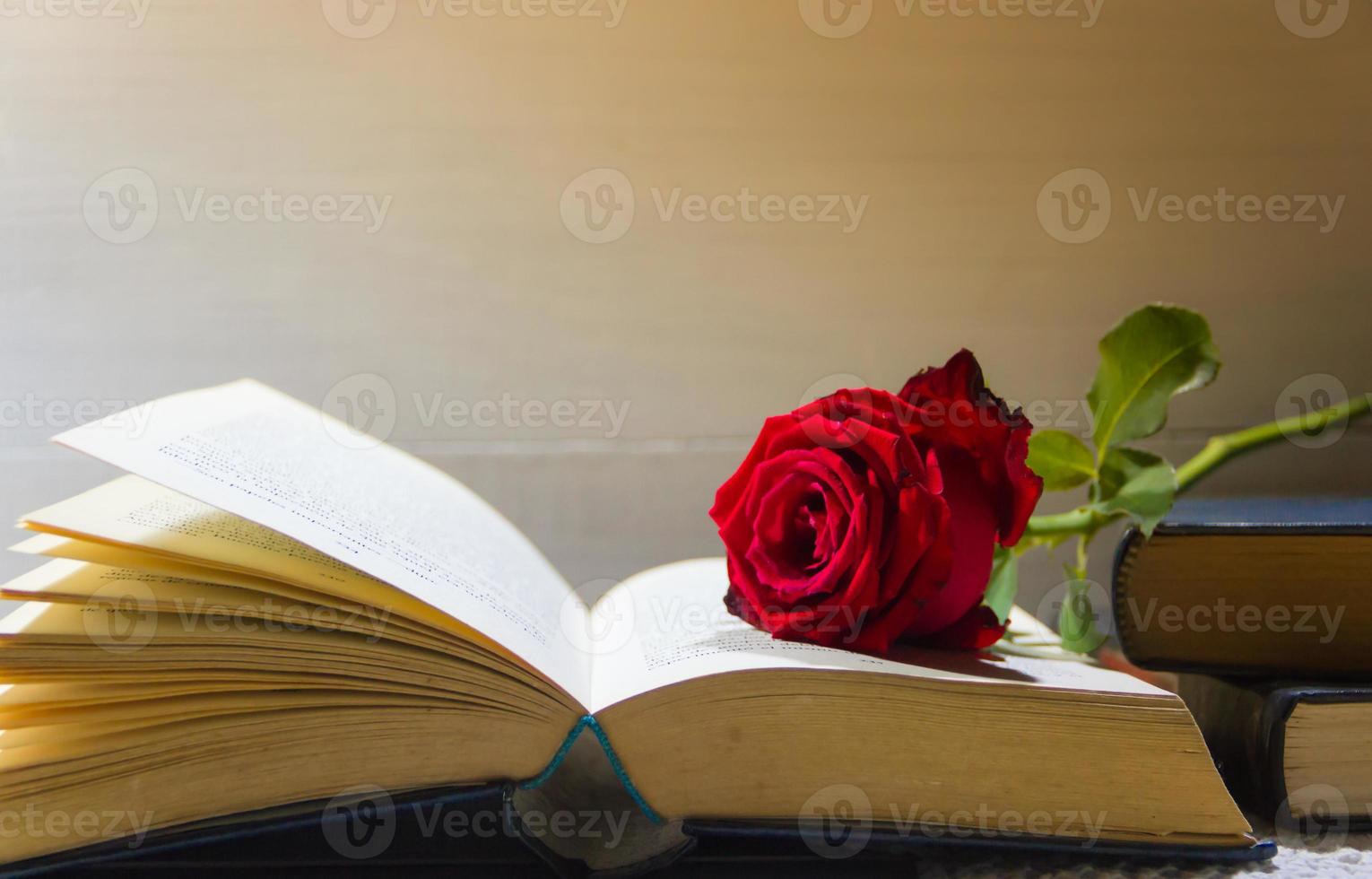 romántico rojo Rosa en el abierto libro foto