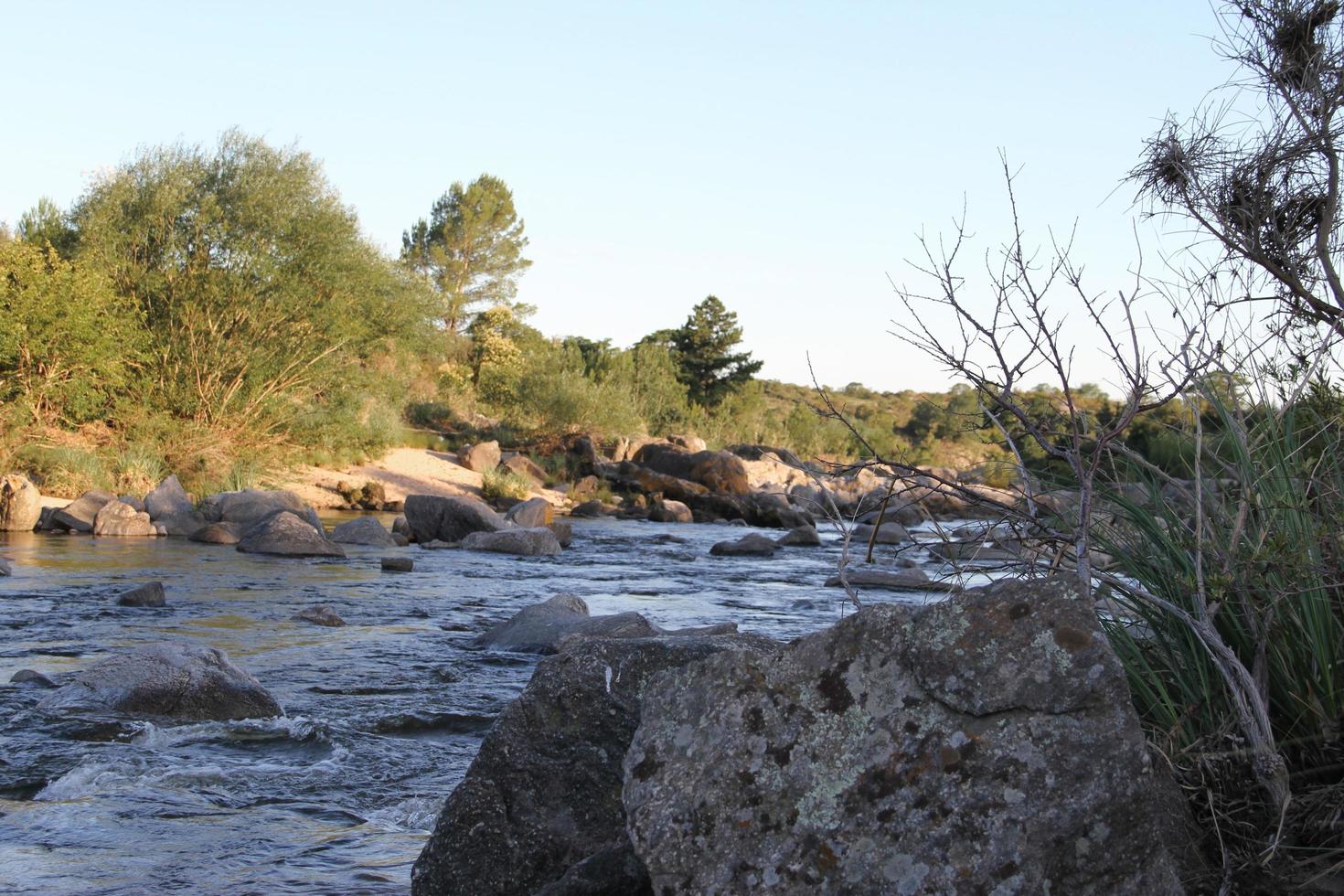 mountain stream and stones in summer photo