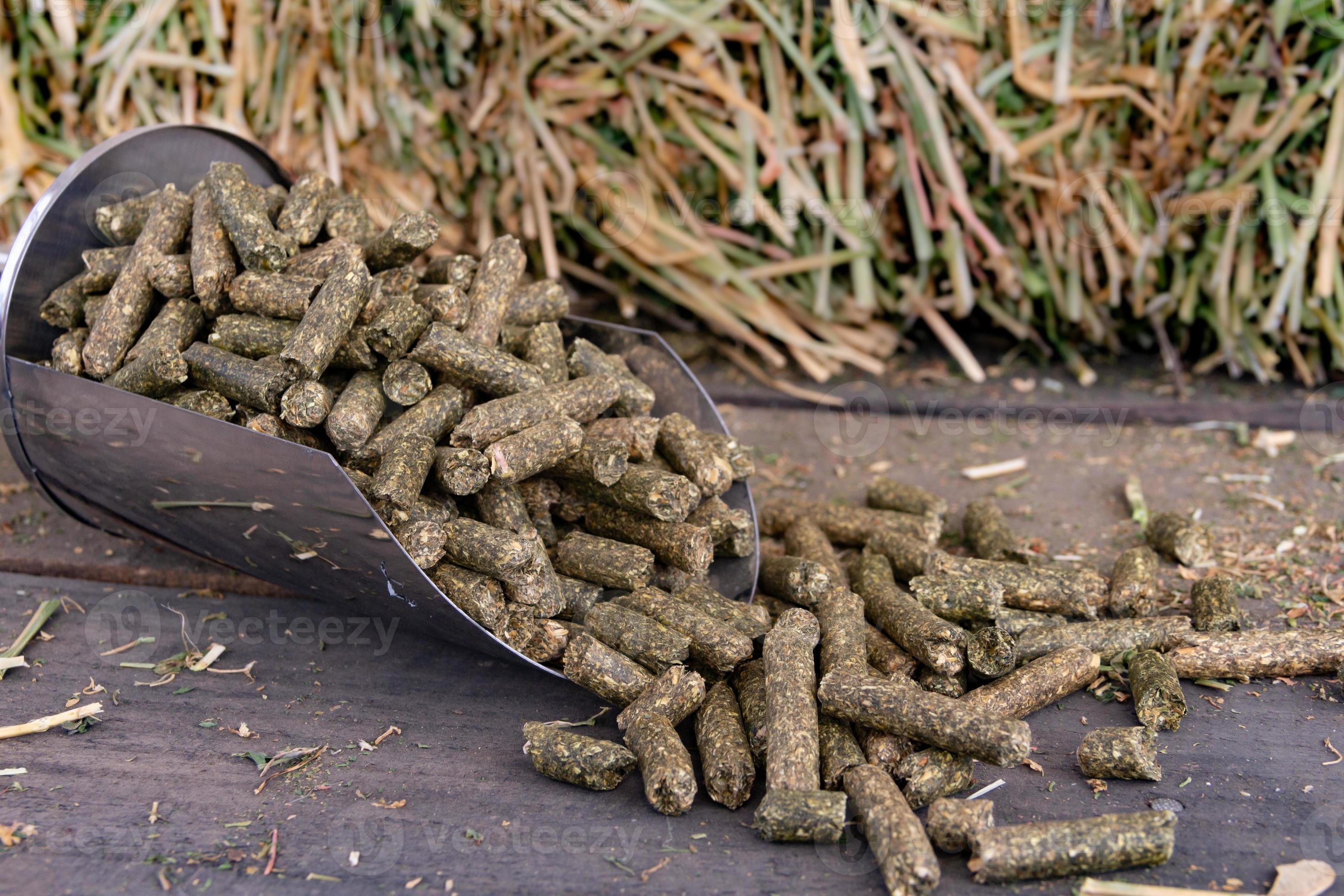 bucket shovel with alfalfa pellets for horses 21663442 Stock Photo at