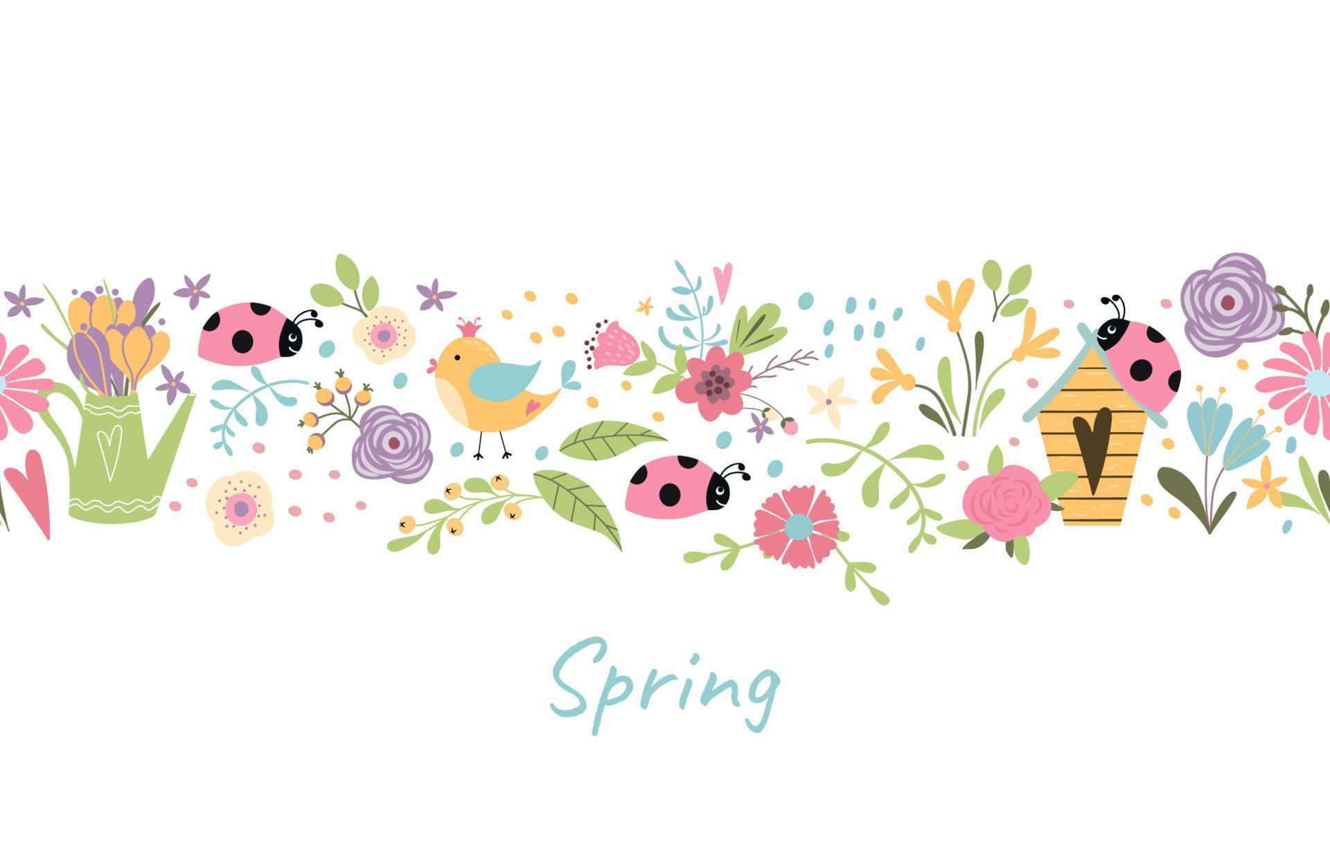 Spring border Spring seamless flower border with colorful daisies