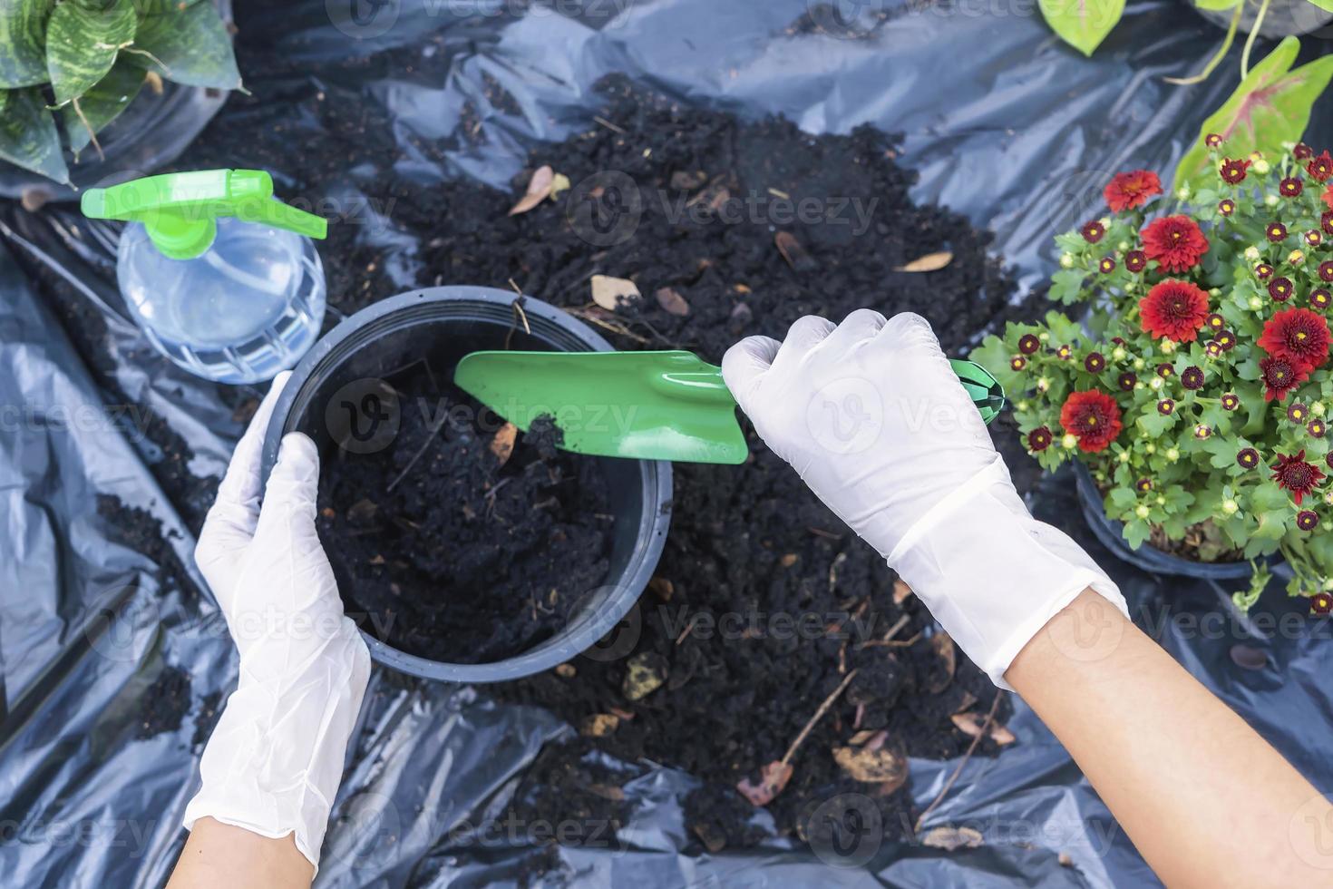 Hands holding abundance soil for agriculture or preparing to plant in a black flowerpot.  Testing soil samples on hands with soil ground background. Dirt quality and farming concept. photo