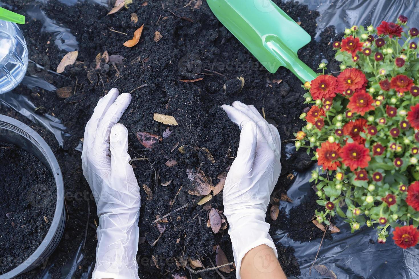 Hands holding abundance soil for agriculture or preparing to plant in a black flowerpot.  Testing soil samples on hands with soil ground background. Dirt quality and farming concept. S photo